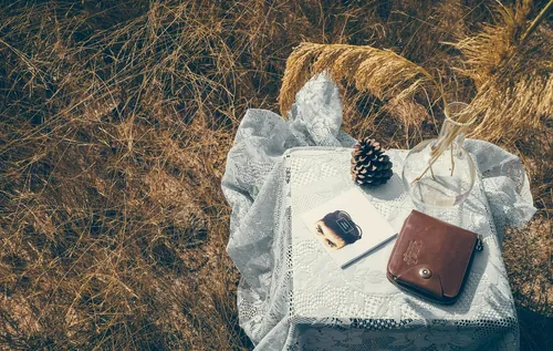 pine cone, journal, leather bag